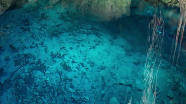 Timelapse av en cenote i Mexiko — Stockvideo