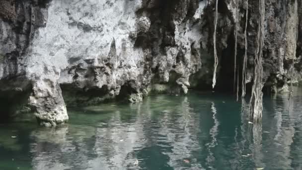 En cenote i Mexiko — Stockvideo