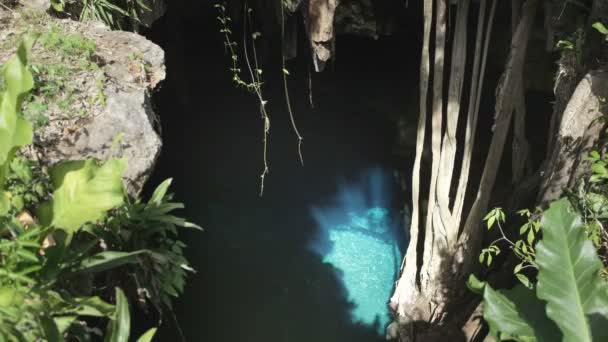 Timelapse cenote v Mexiku. — Stock video