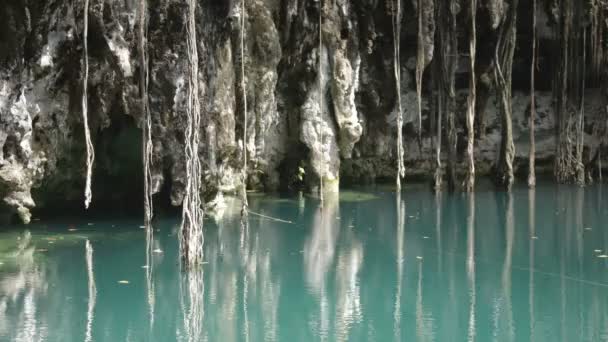 Eine Cenote in Mexiko — Stockvideo