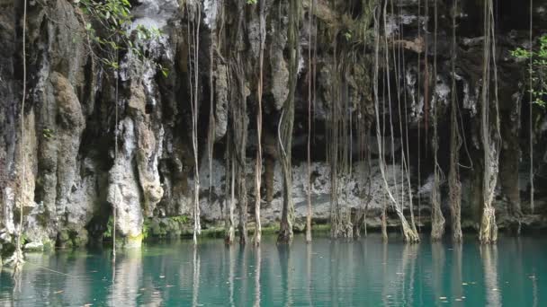 En cenote i Mexiko — Stockvideo