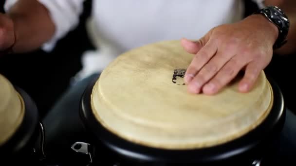 Congo baterista realizando — Vídeo de Stock