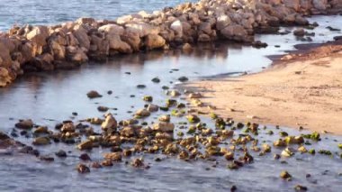 yumuşak dalgalar kayalara karşı alıştırma