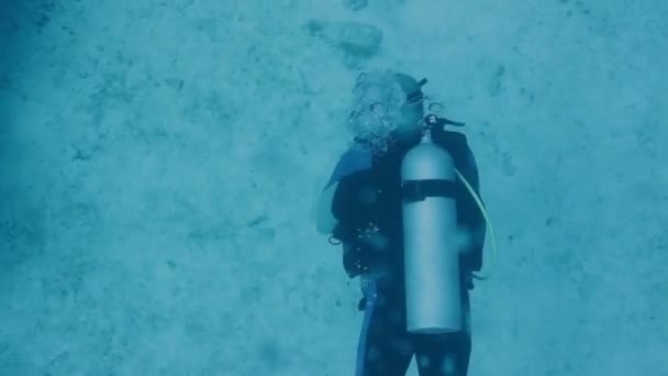 Подводное плавание у острова Козумель, Мексика, одно из самых любимых мест для дайвинга в мире — стоковое видео