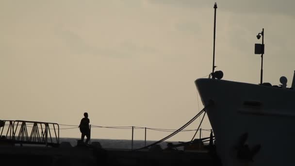 Un grand bateau de croisière dans le port de Cozumel au Mexique — Video