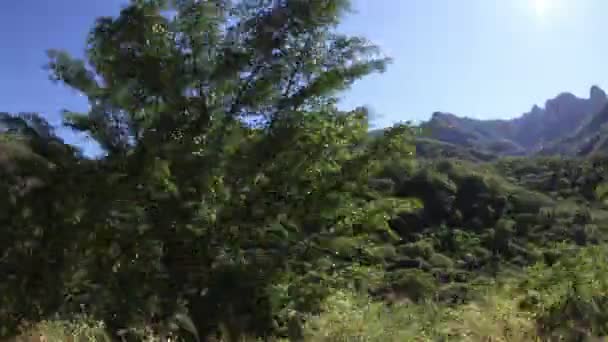 Disparo desde el tren El Chepe que pasa a través del increíble cañón de cobre — Vídeo de stock