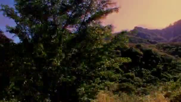 Un disparo desde el tren El Chepe que pasa por el increíble cañón de cobre — Vídeo de stock