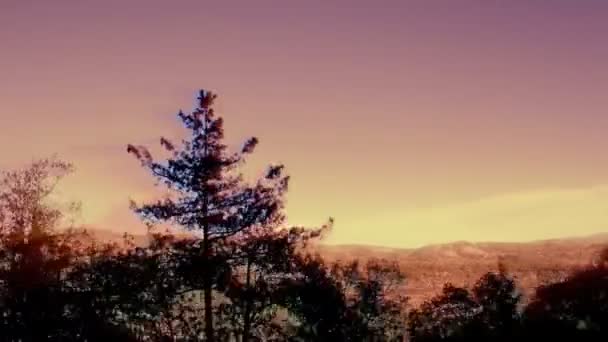 A shot from the el chepe train which passes through the incredible copper canyon — Stock Video