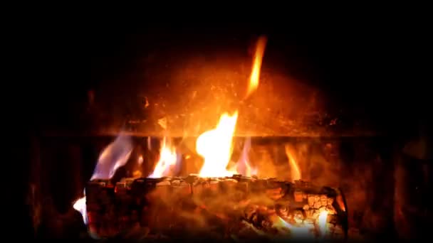 Un beau feu de bois brûlant dans une cheminée — Video