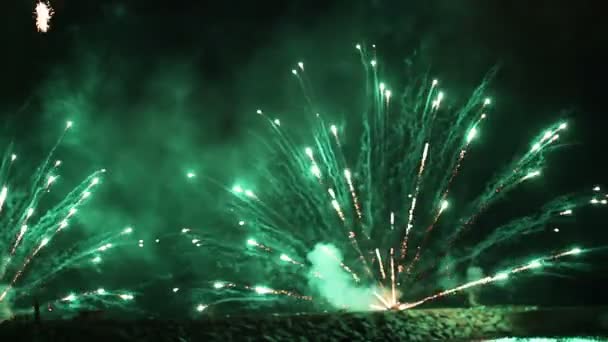 Exhibición colorida de los fuegos artificiales — Vídeo de stock