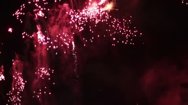 Visualizzazione colorata dei fuochi d'artificio — Video Stock