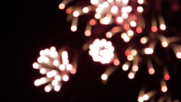 Visualizzazione colorata dei fuochi d'artificio — Video Stock