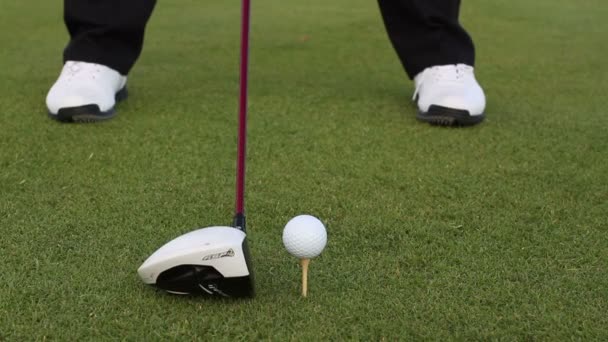 Pro golfer op de golfbaan van een wereld-klasse — Stockvideo