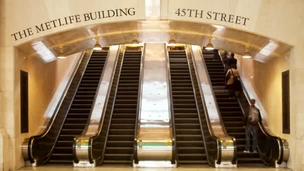 Timelapse di folle di pendolari che utilizzano scale mobili alla grande stazione centrale di New York — Video Stock