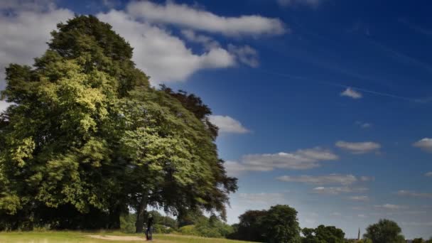 Stora träd och moln timelapse i hampstead heath, london — Stockvideo