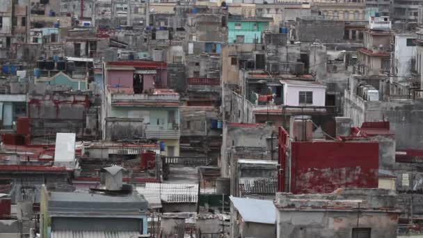 从一个屋顶露台，古巴哈瓦那天际线射 — 图库视频影像