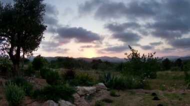 ibiza, İspanya nın bir bahçede güneş ayarına Timelapse