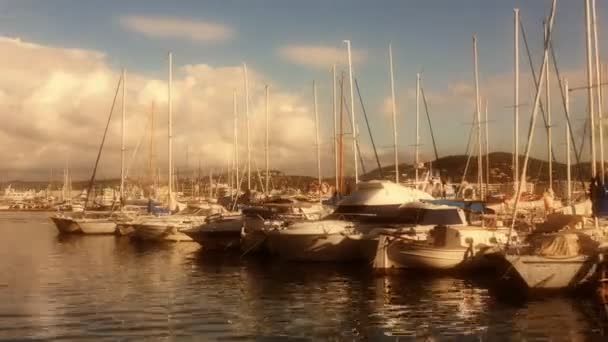 Yachts in port, ibiza — Stock Video