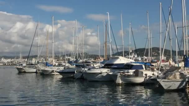 Yachts in port, ibiza — Stock Video