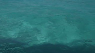 Karayip su dan hareketli bir sürat teknesi vurdu.