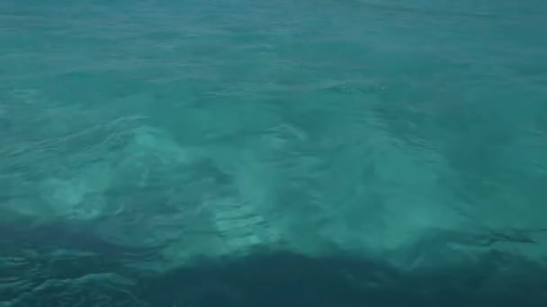 Wody Karaibów strzał z z ruchu łodzi motorowej — Wideo stockowe