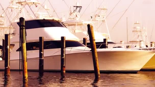 Shot of luxury yachts in a marina in isla mujeres, mexico — Stock Video