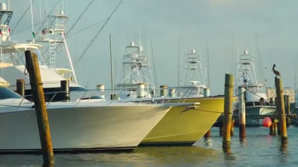 Beautiful and dramatic sunset timelapse with wonderful colours of yachts — Stock Video