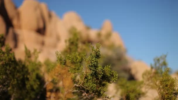 Formação de rochas no parque nacional de Joshua tree, Califórnia, EUA — Vídeo de Stock