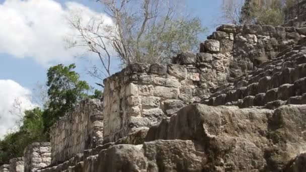 Tempo-lapso das ruínas maias em kalakmul méxico — Vídeo de Stock