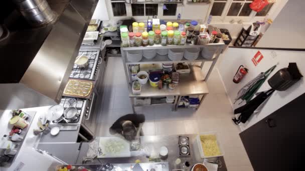 Timelapse знімок, дивлячись вниз на двох кухарів готують їжу — стокове відео