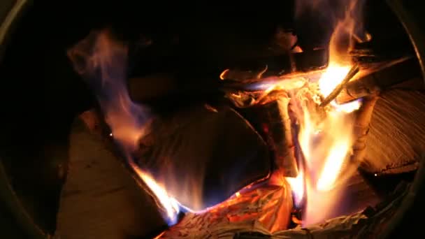 A nice log fire burning in a fireplace — Stock Video