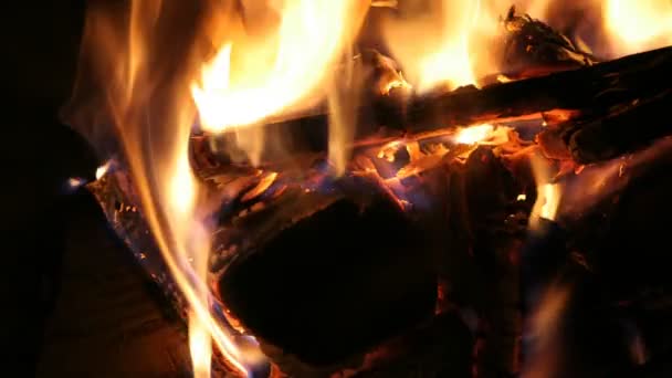 Ein schönes Holzfeuer, das in einem Kamin brennt — Stockvideo