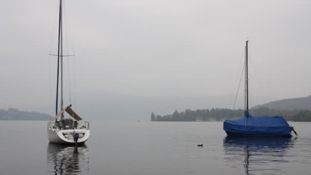 Barcos moviéndose lentamente en el lago Luzern — Vídeo de stock