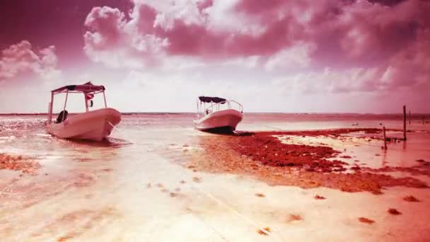 Timelapse di piccole barche da pesca ormeggiate in bella acqua caraibica — Video Stock