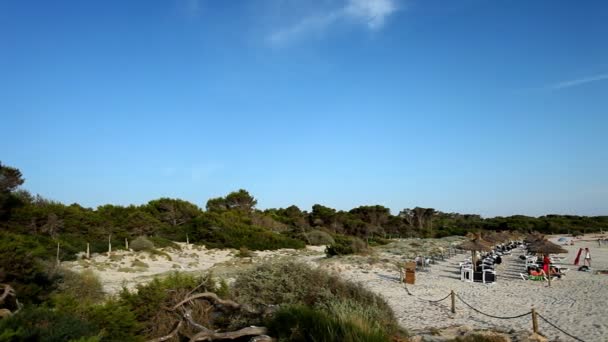 Hermosa escena de playa en colonia sant jordi en mallorca — Vídeos de Stock