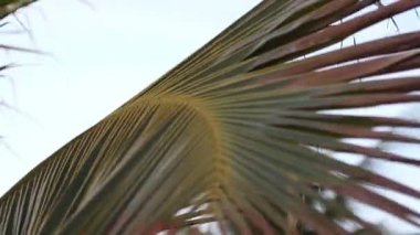 mazatlan kıyı kasaba içinde dramatik bir günbatımı Timelapse