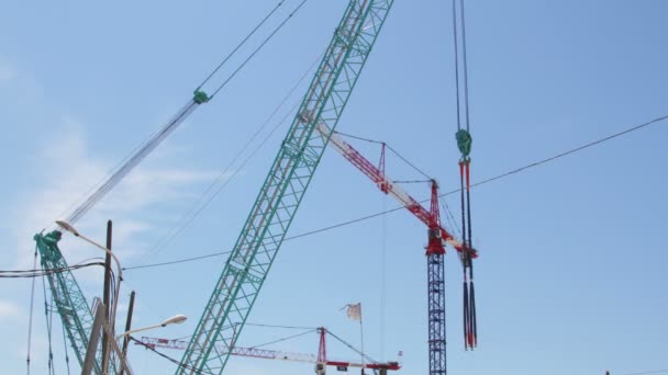 Grues à marseille, france — Video