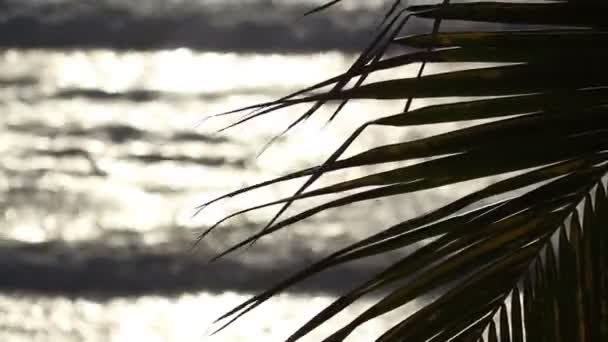 Calendario di un drammatico tramonto nella città costiera di mazatlan — Video Stock
