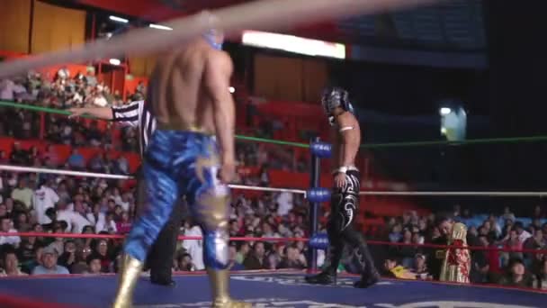 Ringside på berömda lucha libre mexikanska brottning på arena mexico — Stockvideo