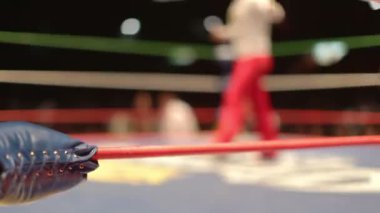 Ring adlı ünlü lucha libre Meksikalı güreş arena Meksika