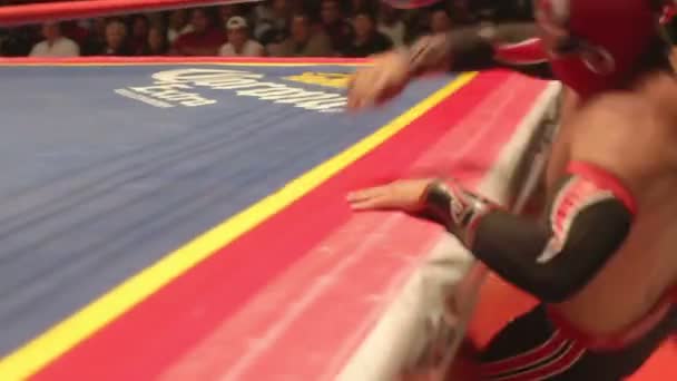 看在舞台上墨西哥著名自由式 libre 墨西哥摔跤拳击 — 图库视频影像