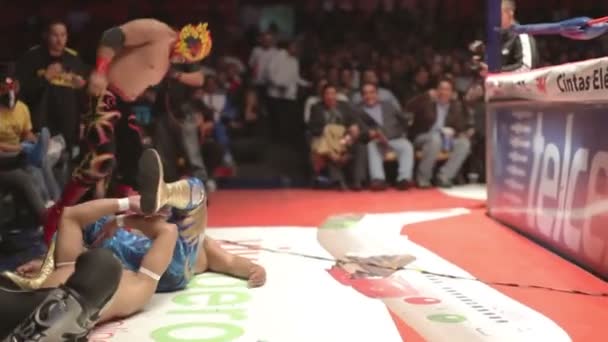 Pierwsze rzędy widowni w słynnej lucha libre meksykański zapasy na arenie Meksyk — Wideo stockowe