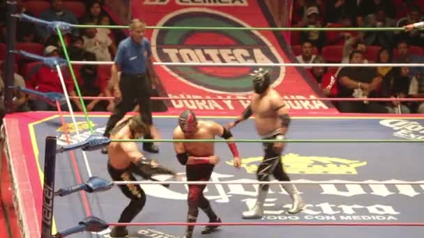 Κοντά στο ριγκ στο το διάσημο lucha libre αγωνίζονται στο arena Μεξικό — Αρχείο Βίντεο