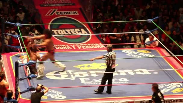 Ringside op de beroemde lucha libre Mexicaanse worstelen op arena mexico — Stockvideo