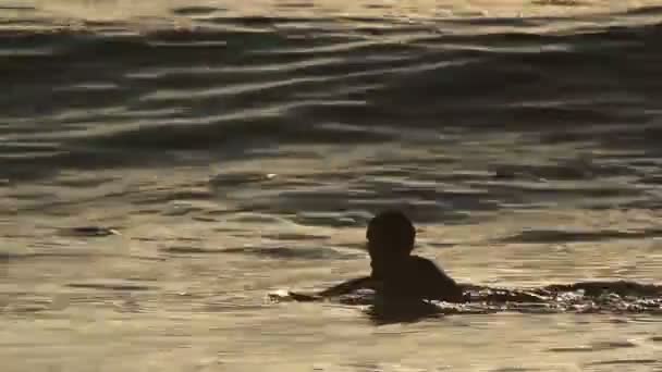 Surfers in mexico — Stock Video