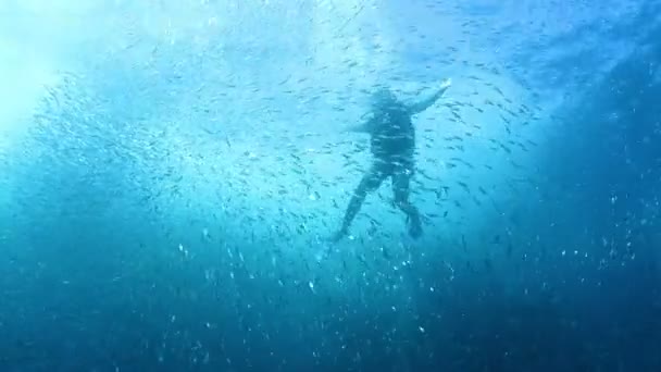 Unterwasseraufnahmen beim Tauchen im cabo pulmo marine park — Stockvideo
