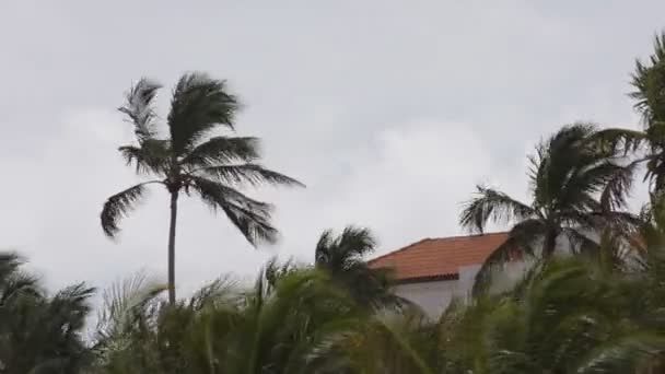 Cena tempestuosa, praia sul em miami, florida — Vídeo de Stock