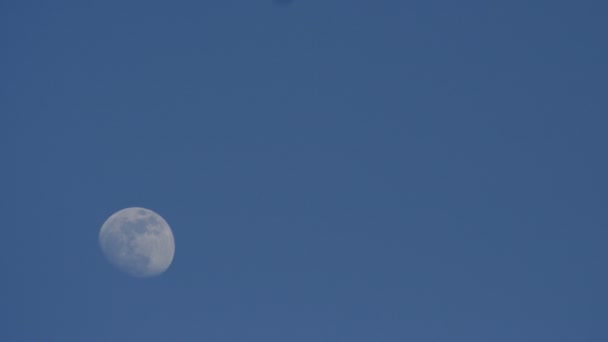 Timelapse de una luna llena moviéndose a través del cielo — Vídeos de Stock