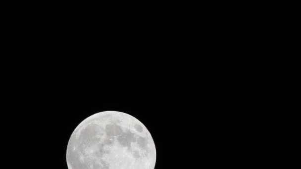 Timelapse de una luna llena moviéndose a través del cielo — Vídeo de stock
