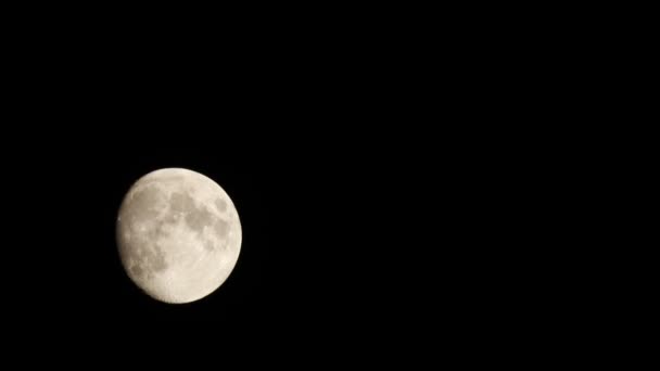 Een volle maan verplaatsen langs de hemel — Stockvideo